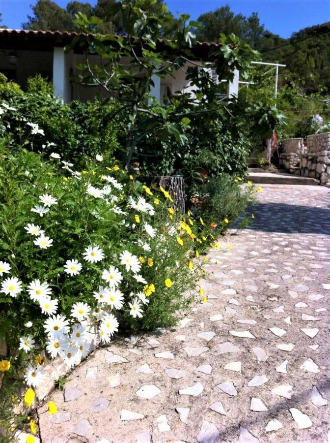 Studio Dolores-Apartment By The Sea Maranovici ภายนอก รูปภาพ